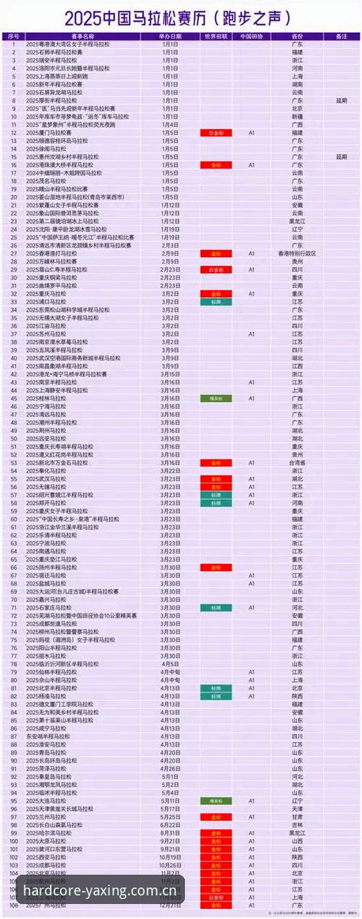 2025赛事数据中国区年度硬核版深度分析：从实时看台到历史档案的全维度解读